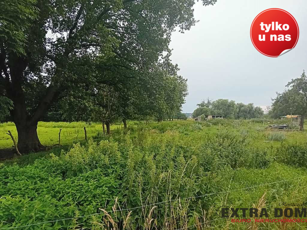 Działka na sprzedaż